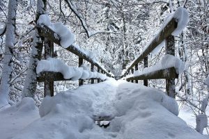 brug sneeuw