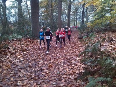 Start '78 Bosloop 15 nov 2014 1