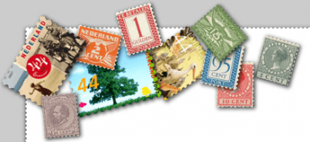 image-.jpg
