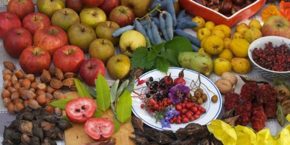 fruit