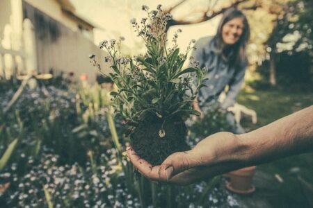 planting-865294_640