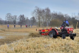 (c) Phillip Friscorn PFR_20180217_0020