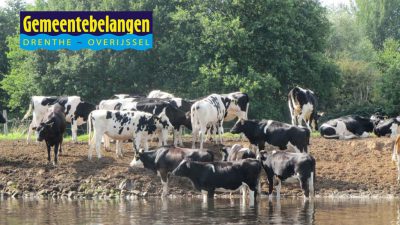gemeentebelangen-overijssel-drenthe