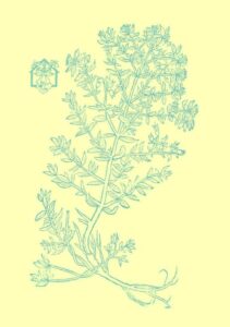 2019 Flyer poster A5_kleur_02