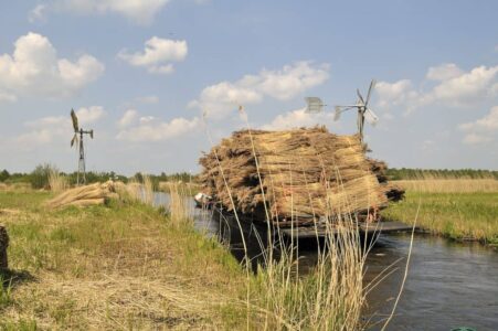 PF_riet vaartocht