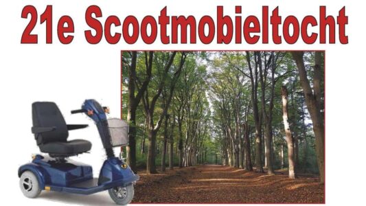 scoot