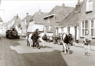 stadsboerderij stadsboerderij