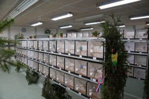 008 vogelkring-11-2019