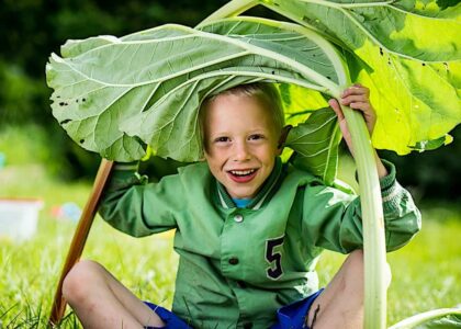 JLE_PO_jongen_rabarber JLE_PO_jongen_rabarber