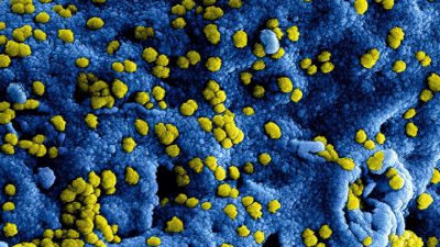 virus-corona foto CDC on Unsplash