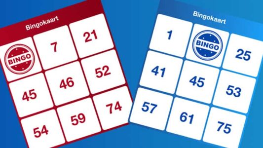 Bingo-16-9 Bingo-16-9