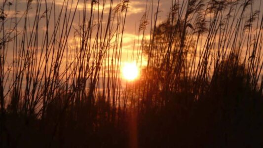 avond-zon avond-zon