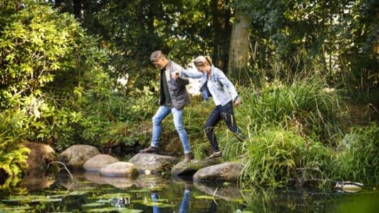 Beeld-WW-bij-Persbericht