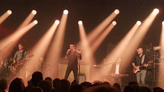 The radiators - live in het park