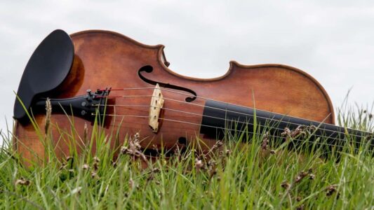 muziek in de natuur muziek in de natuur