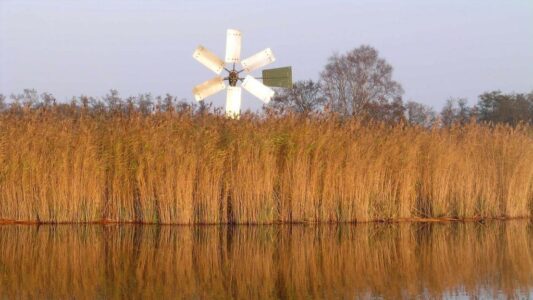 NMRG31217 herfstbeeld de wieden foto Natuurmonumenten Ronald Messemaker