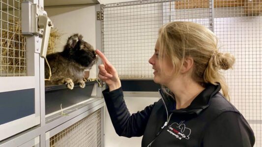 Aniek Overwijk heeft al een opvang sinds 2009 en doet alles voor de konijnen Aniek Overwijk heeft al een opvang sinds 2009 en doet alles voor de konijnen