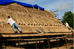 Rieten dak met drie dakdekkers-stichting IJsselhoeven
