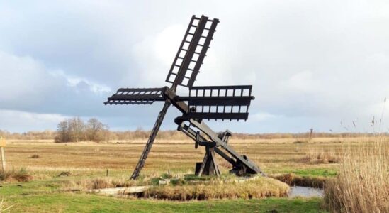 tjasker weerribben colette de haas