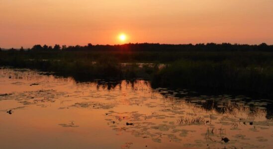 zonsondergang tiemen