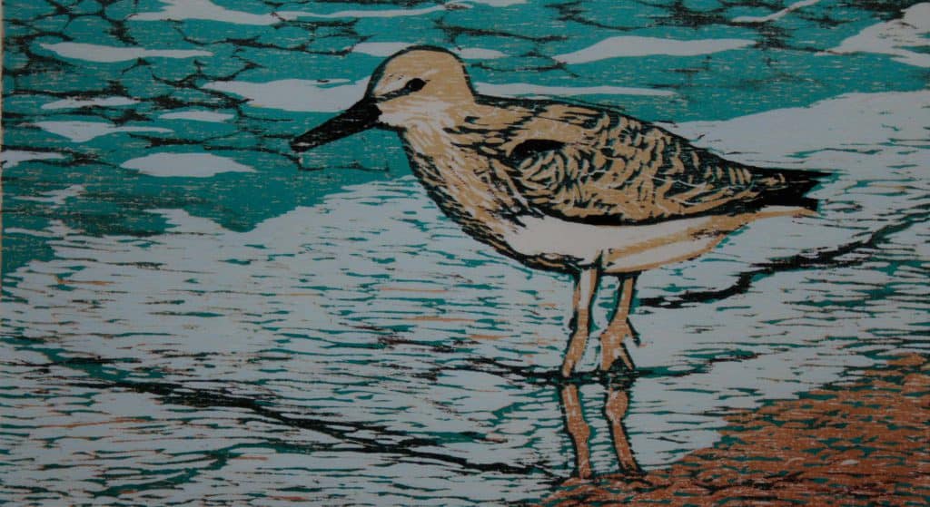 Expositie ‘Vrije Vogels’ in de Kleine Kerk Steenwijk
