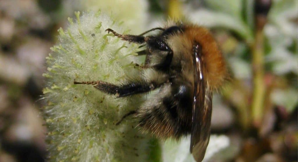 Tuinpraatjes op zaterdag