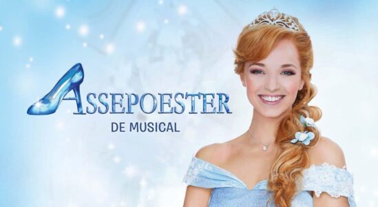 Assepoester De Musical