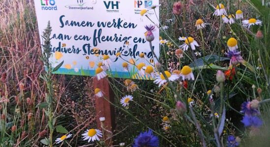 Bloemrijke akkerranden zijn goed voor de biodiversiteit - foto Klaas de Lande Bloemrijke akkerranden zijn goed voor de biodiversiteit - foto Klaas de Lande