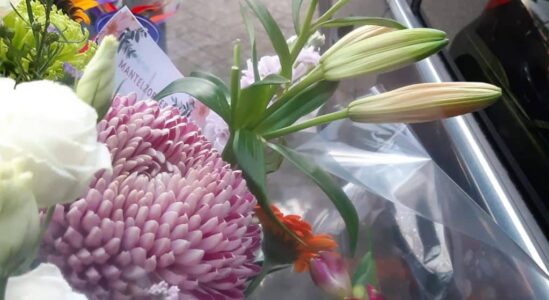 debloemen-steenwijk