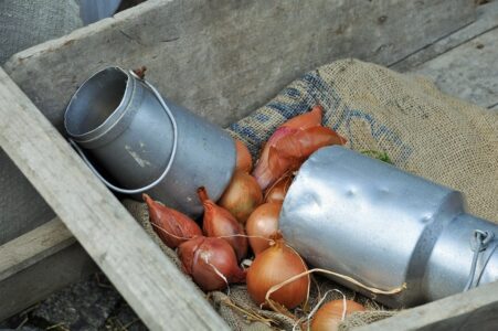 middeleeuws eten middeleeuws eten