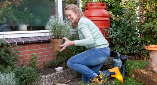 Bron foto Platform Duurzaam Nederland