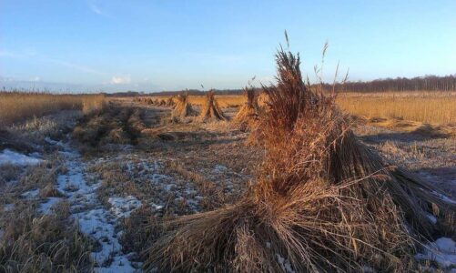 rietschoven winter