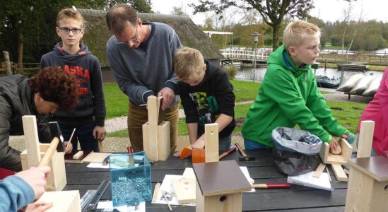 nestkast tmmeren3