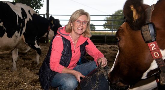 Boer in beeld, Foto Ida Besten