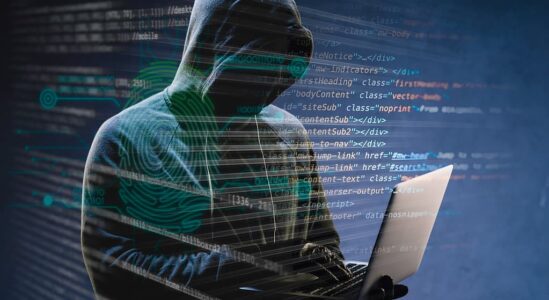 internetcriminelen