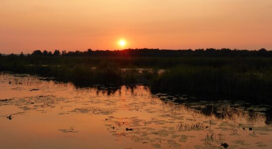 zonsondergang tiemen
