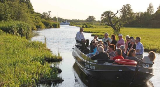 NM - zwerftocht met de boswachter