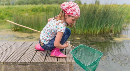waterbeestjes