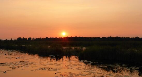 zonsondergang tiemen
