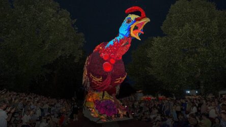 the next_DSC4778