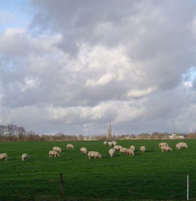 kamp