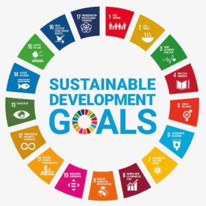 Sustainable-Development-Goals Sustainable-Development-Goals