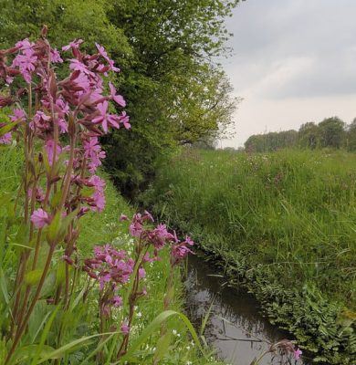 Landscape at Elsbroek with view on the valley of the Rolderdiep