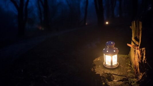 10948-Lichtjeswandeling,-lantaarn@Marjolein-den-Hartog---KISSMYARTS 10948-Lichtjeswandeling,-lantaarn@Marjolein-den-Hartog---KISSMYARTS