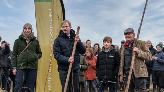 natuurherstelwerkzaamheden in De Weerribben