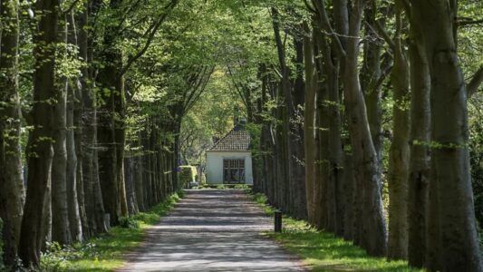 Foto Koloniën van Weldadigheid Foto Koloniën van Weldadigheid