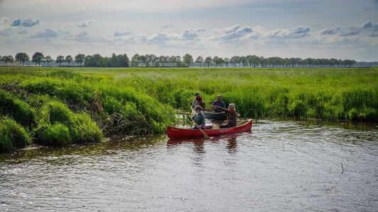 in-het-wilde-weg-45891 in-het-wilde-weg-45891