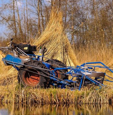 Afbeelding bij persbericht Weerribben-Wieden, is er straks nog riet of niet - 22042024