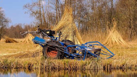Afbeelding bij persbericht Weerribben-Wieden, is er straks nog riet of niet - 22042024