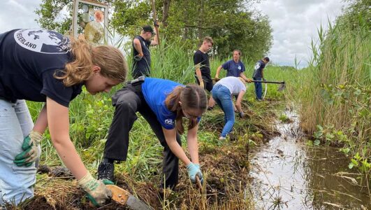 Exoten als Waterwaaier en Ongelijkbladig Vederkruid moeten uit de sloten.